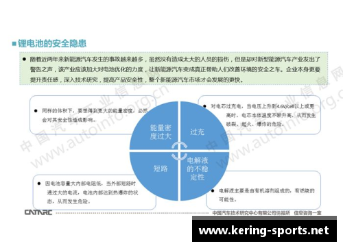 体育明星收入计算方式全面解析及其影响因素分析